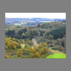 11-Nohener Waldgeistersteig 151014.jpg